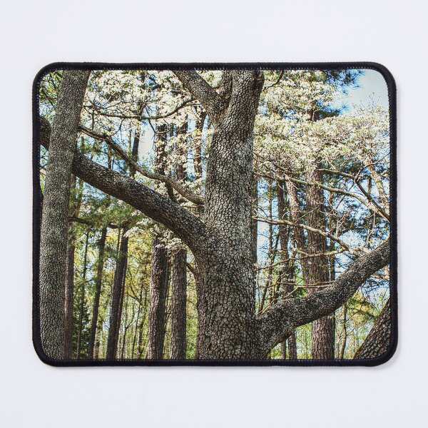 Item preview, Trunk of the Tree designed and sold by SarahEL17.