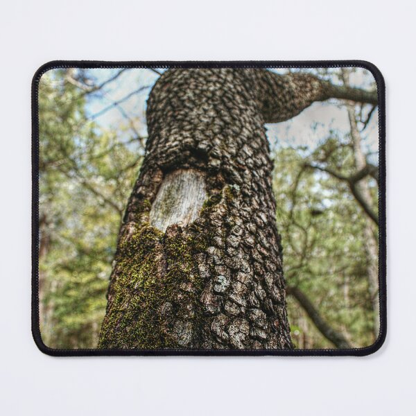Item preview, Mossy Branches designed and sold by SarahEL17.