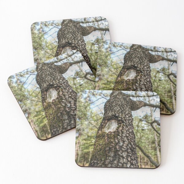 Item preview, Mossy Branches designed and sold by SarahEL17.