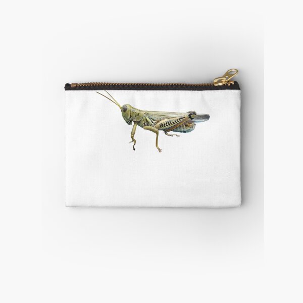 Item preview, Grasshopper designed and sold by digerati.