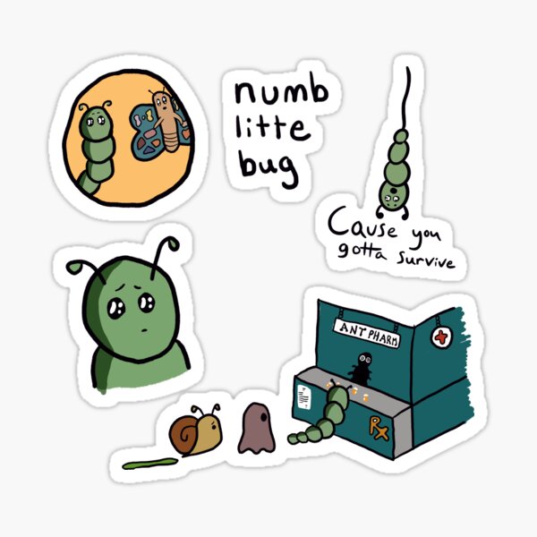 Bug numb little Why Em