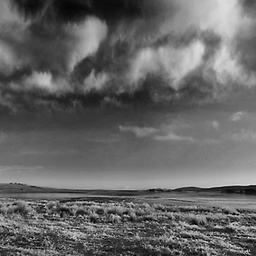 Artwork thumbnail, Winter Desolation by Chris Clark