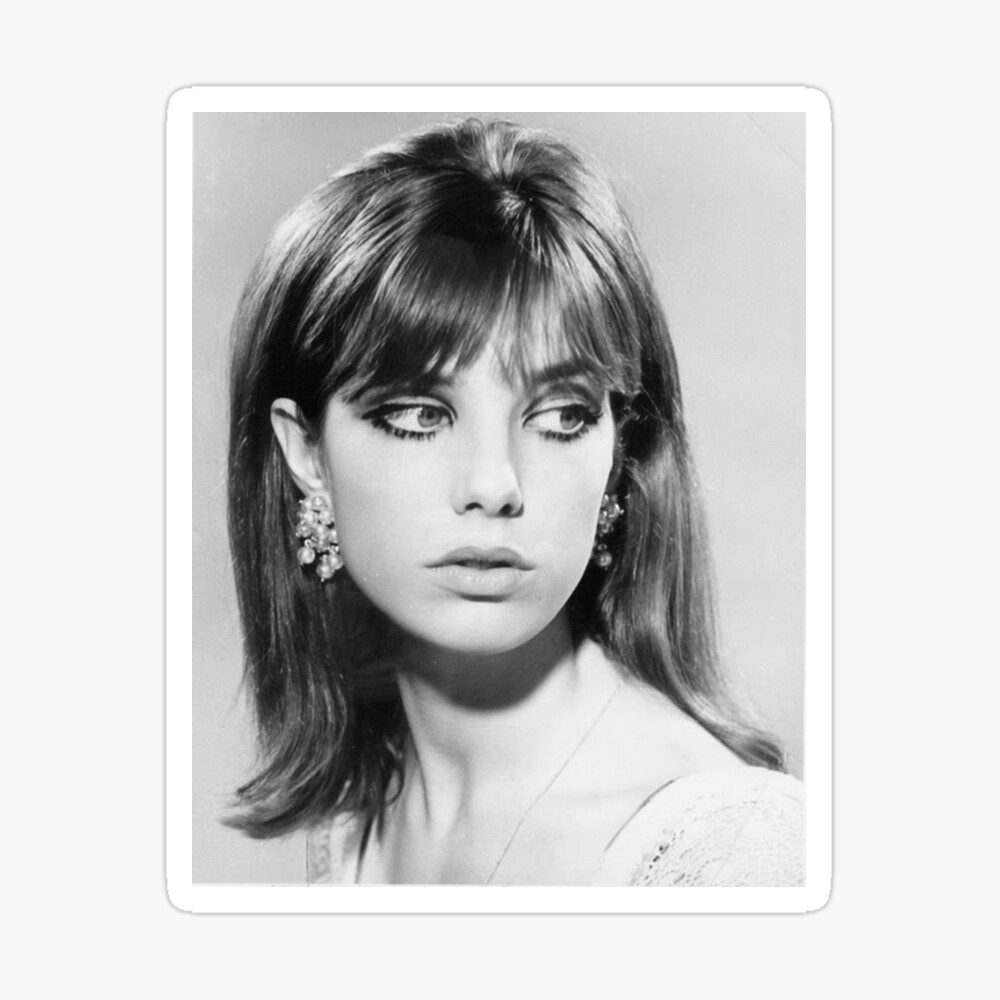 Jane Birkin 80s 90s Singer Actor Star Wall Art Home Decor - POSTER 20x30