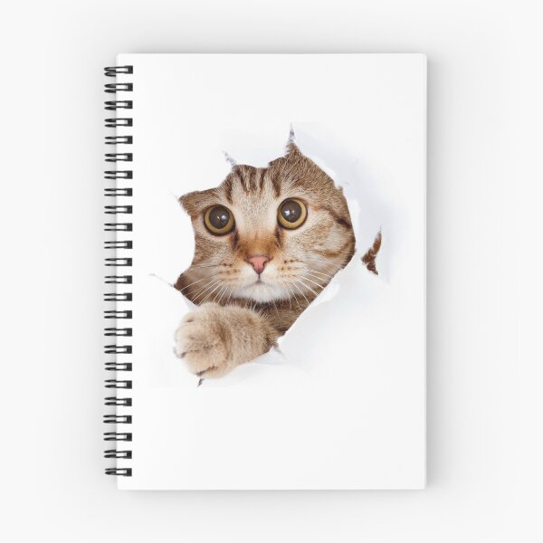 Artikelvorschau, Cat-Talk-Stil entworfen und verkauft von MDCULTURE.