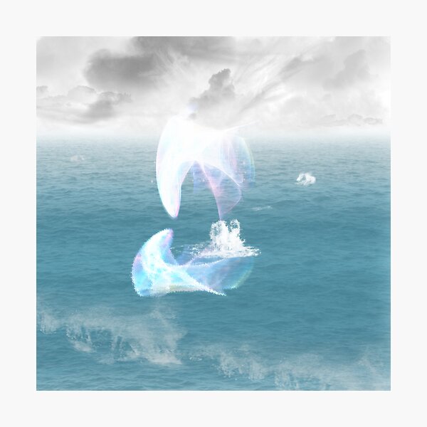 An ethereal flying fish Photographic Print