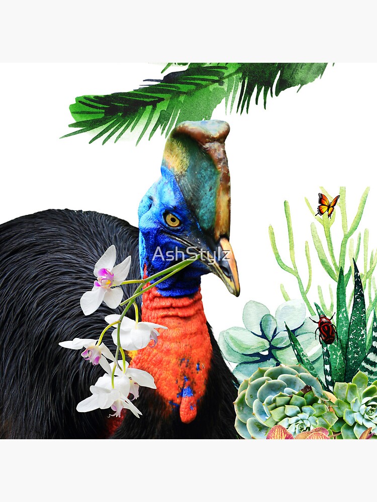 Cassowary Print Button Shirt Australian Design Aussie Bird 