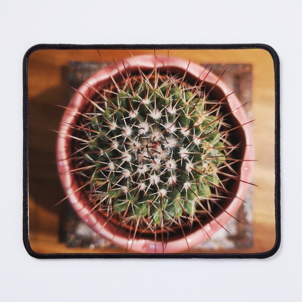 Item preview, cactus designed and sold by CanDo20.