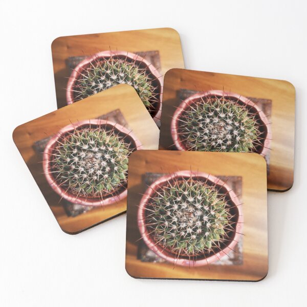 Item preview, cactus designed and sold by CanDo20.