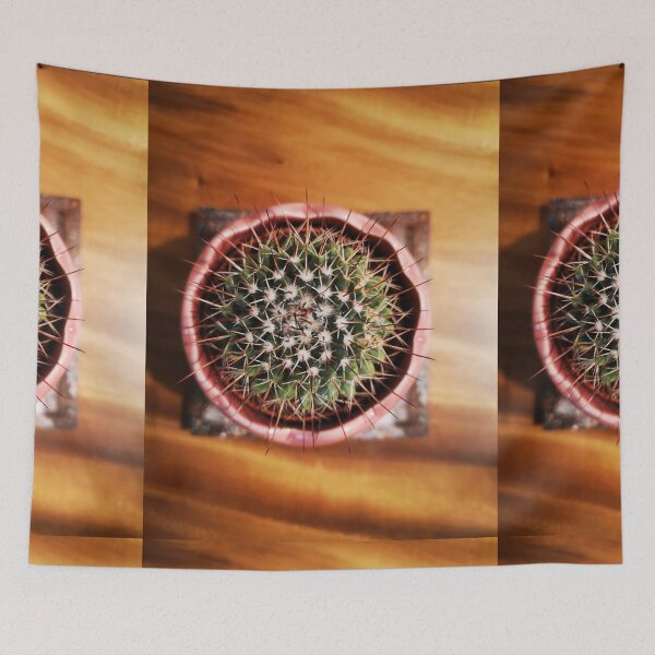 Item preview, cactus designed and sold by CanDo20.