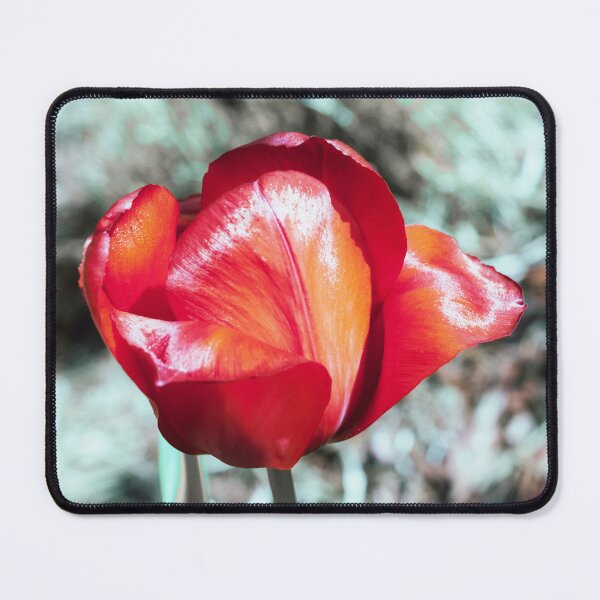 Item preview, Spring Tulip designed and sold by VDVimagery.