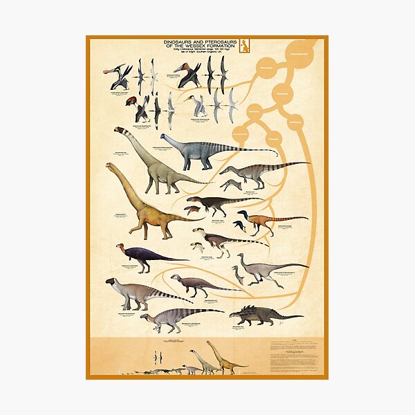Artikel-Vorschau von Dinosaurier und Pterosaurier der Wessex Formation, England, designt und verkauft von SerpenIllus.