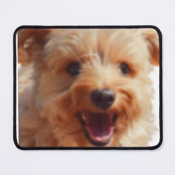 Item preview, Yorkie Dog designed and sold by Gaurav590678.