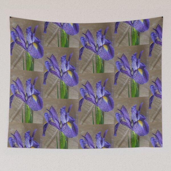 Item preview, Shrink Wrapped Iris designed and sold by lynn carter.