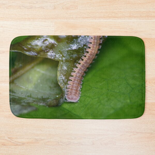 Item preview, Unique and organic photo of a Polydesmid millipede designed and sold by AvonPerception.