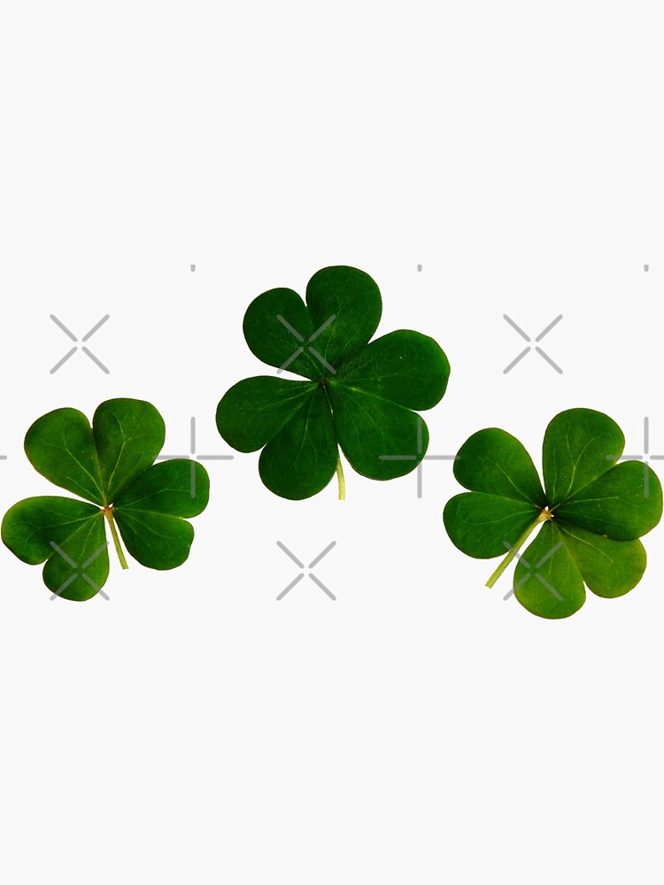 Shamrocks, Ireland, St Patrick's Day by milldogstation