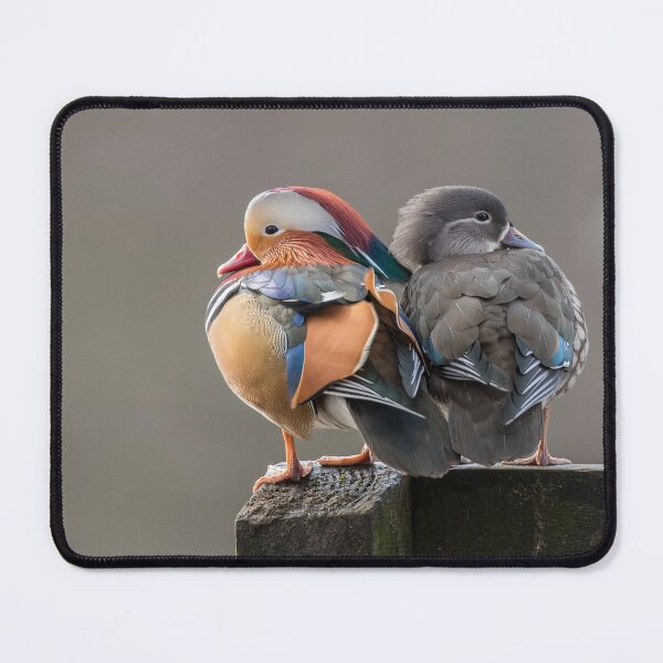 Item preview, Mandarin ducks designed and sold by toms206.