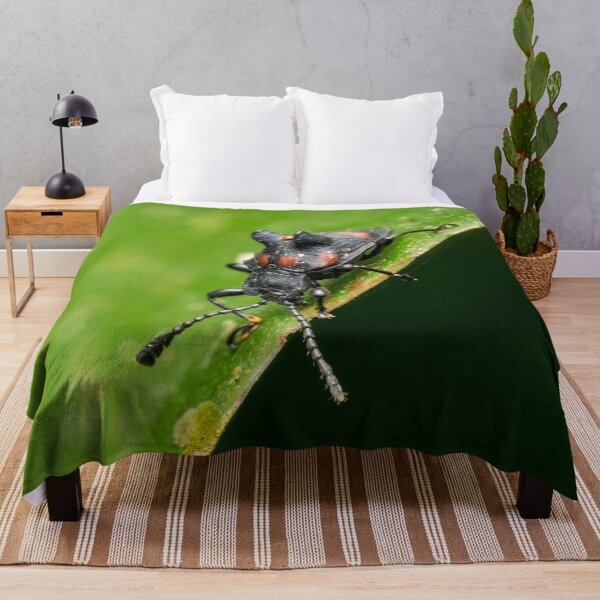 Item preview, Unique and organic photo of a fungus beetle with a mite on its back designed and sold by AvonPerception.