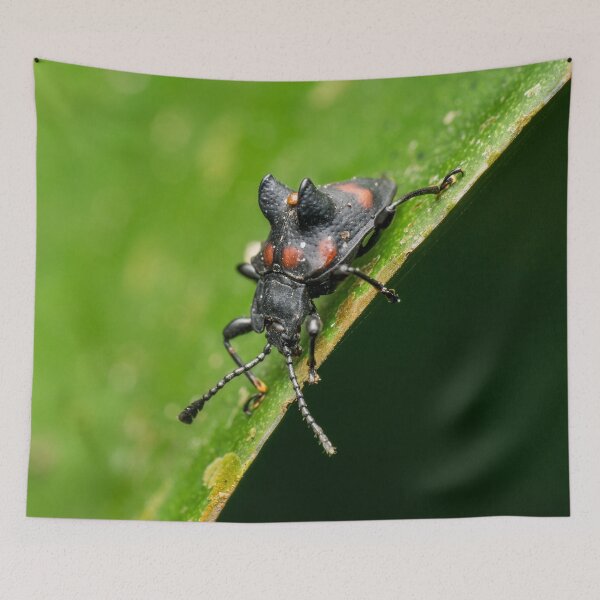 Item preview, Unique and organic photo of a fungus beetle with a mite on its back designed and sold by AvonPerception.