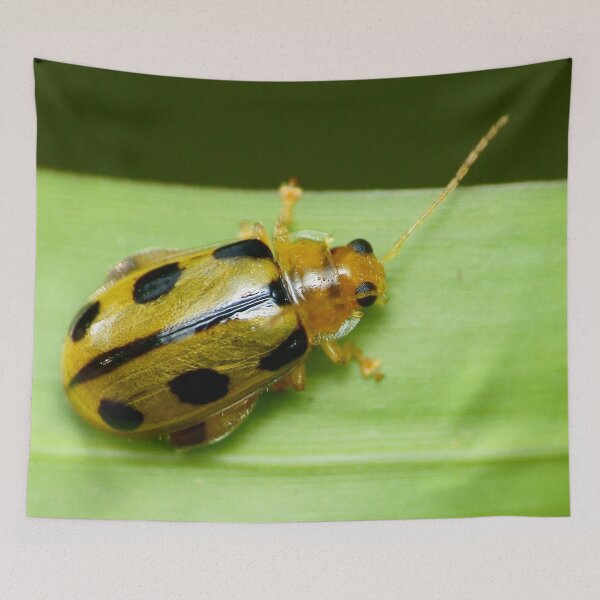 Item preview, Unique and organic photo of a Yellow flea beetle  designed and sold by AvonPerception.