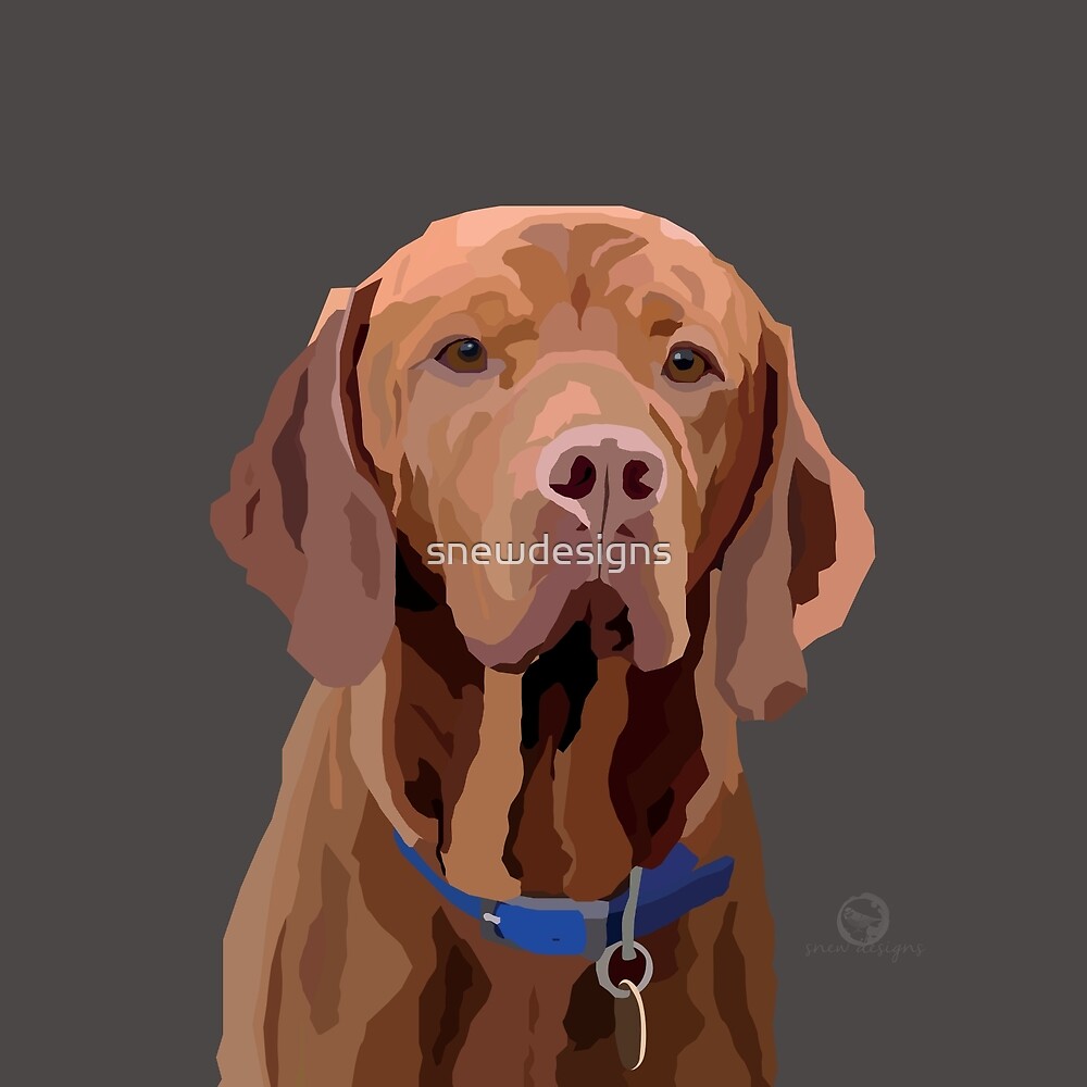 "Hungarian Vizsla" by snewdesigns | Redbubble