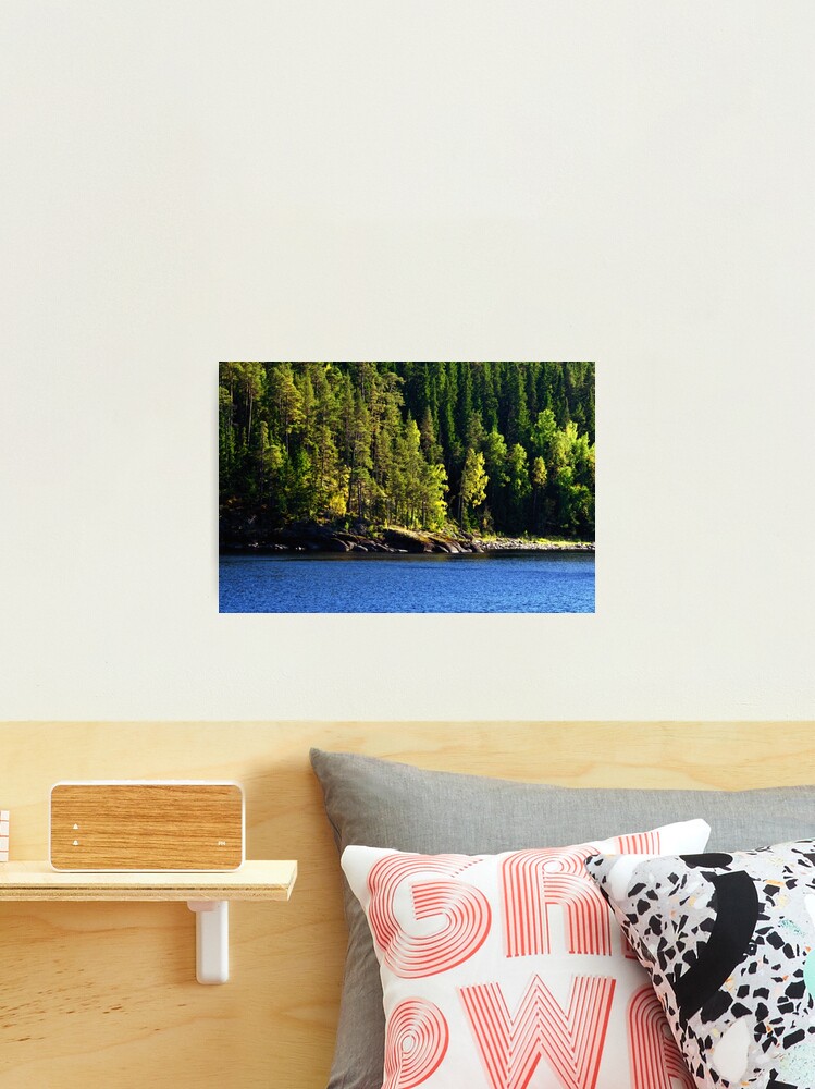 Thumbnail 2 of 3, Photographic Print, Woods, Lake, Summer... designed and sold by Mallorn.