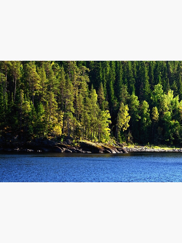 Thumbnail 3 of 3, Photographic Print, Woods, Lake, Summer... designed and sold by Mallorn.