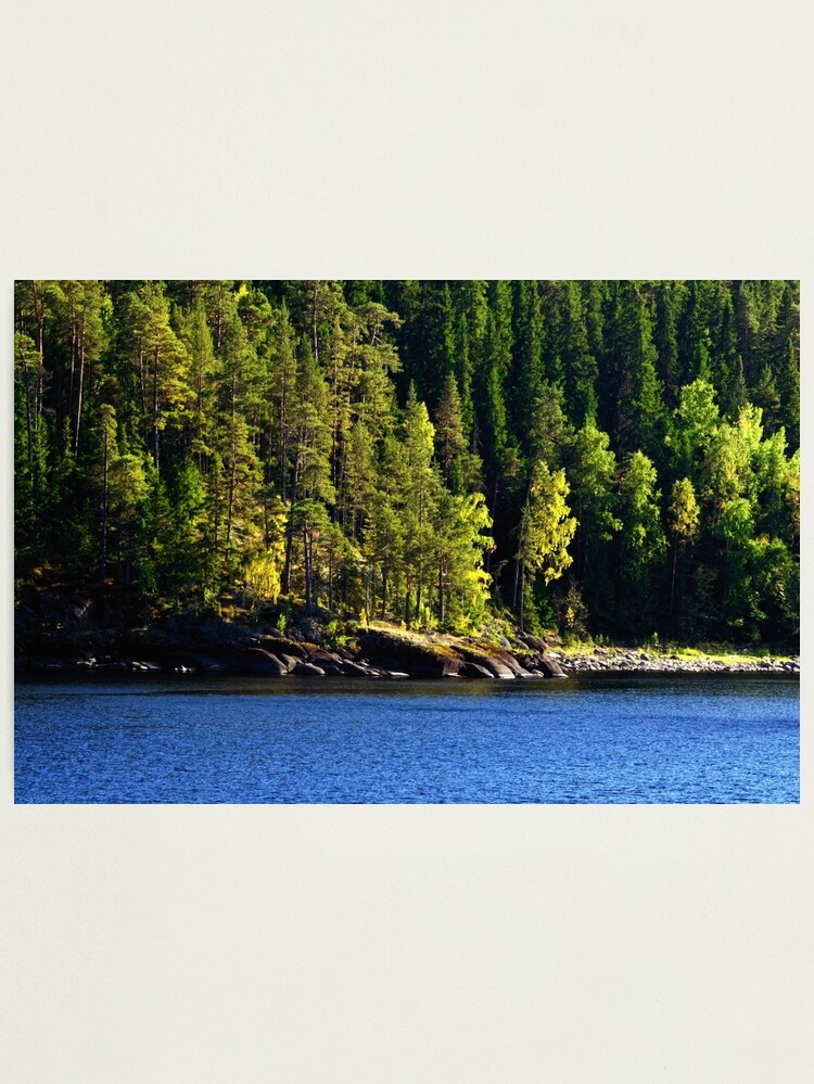 Thumbnail 1 of 3, Photographic Print, Woods, Lake, Summer... designed and sold by Mallorn.