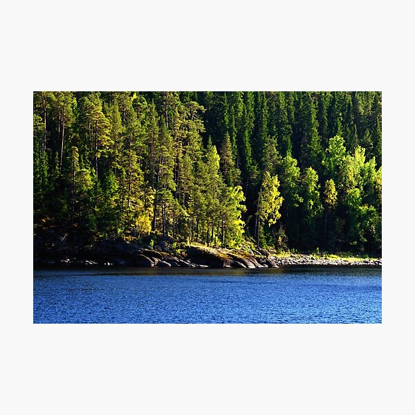 Photographic Print