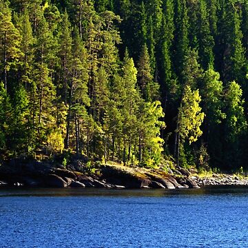 Artwork thumbnail, Woods, Lake, Summer... by Mallorn