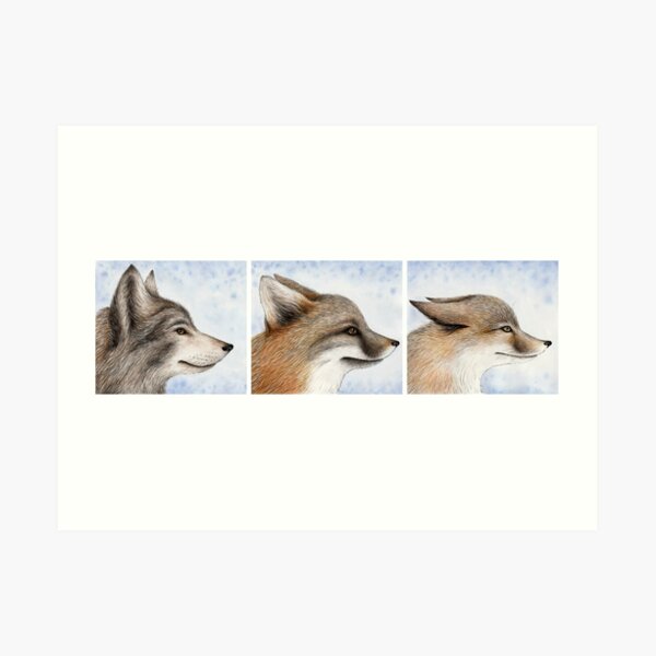 Vanishing Canids Art Print