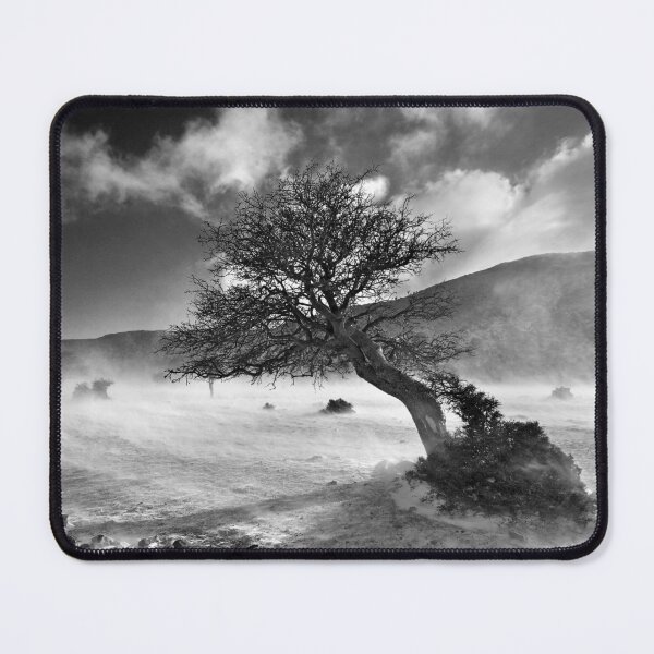 Item preview, Never surrender! designed and sold by Hercules Milas.