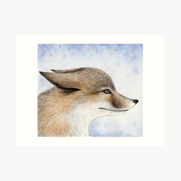 Swift Fox Art Print