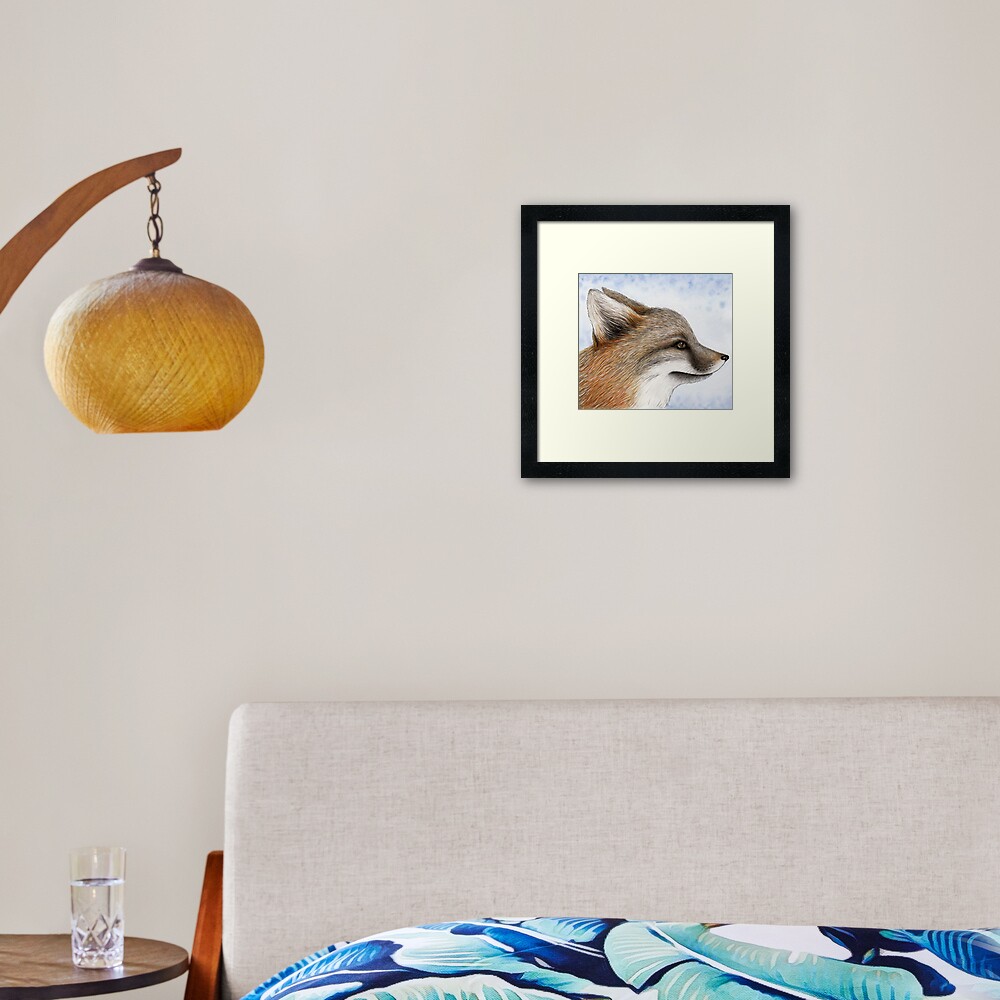 Grey Fox Framed Art Print