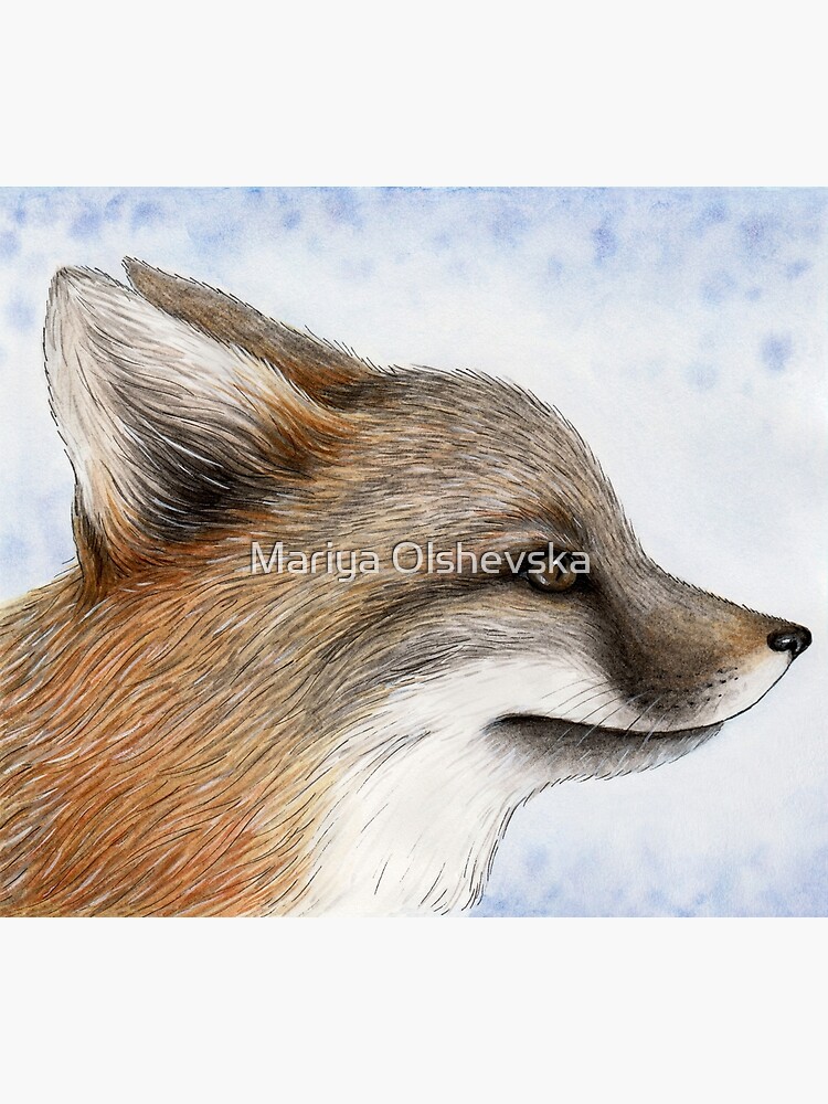 Grey Fox by OzureFlame