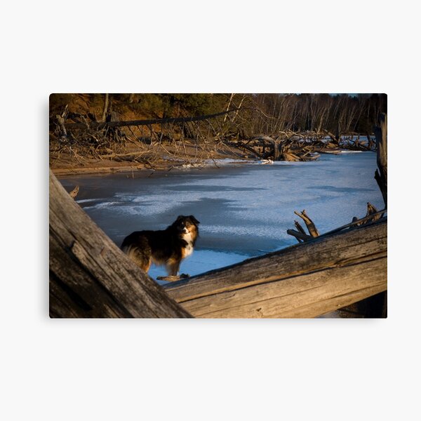 Winter Wasteland Canvas Print