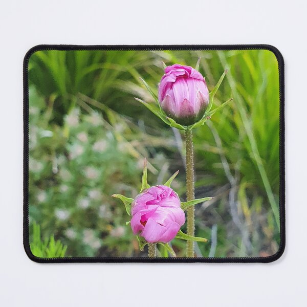 Item preview, Elegant cosmo bud designed and sold by Annaren2022.