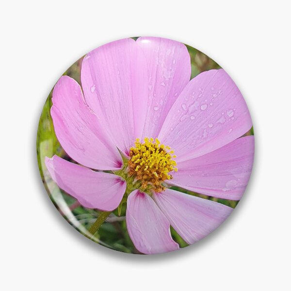 Artikelvorschau, Elegante Cosmo-Blume entworfen und verkauft von Annaren2022.