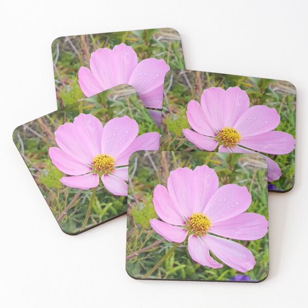 Item preview, Elegant Cosmo flower designed and sold by Annaren2022.