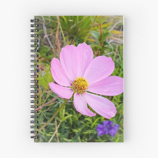 Artikelvorschau, Elegante Cosmo-Blume entworfen und verkauft von Annaren2022.