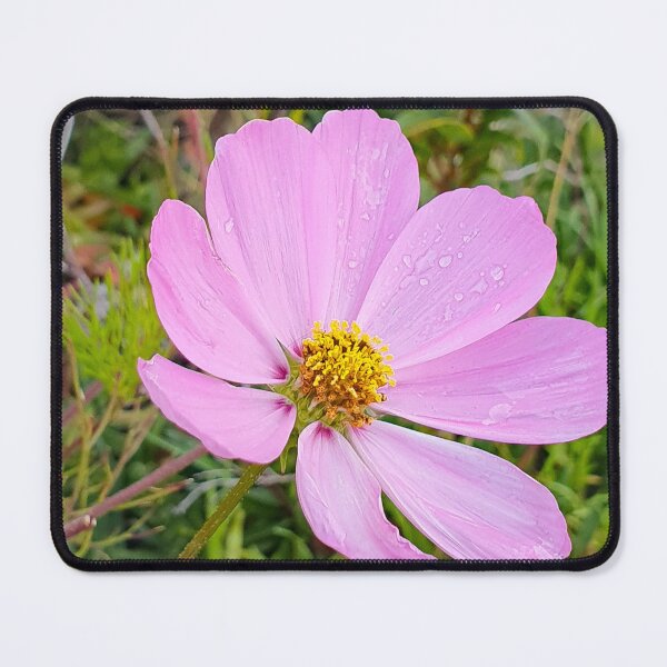 Item preview, Elegant Cosmo flower designed and sold by Annaren2022.