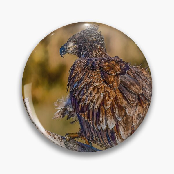 Item preview, Experiencia en criar plumas designed and sold by WesleyBarr.