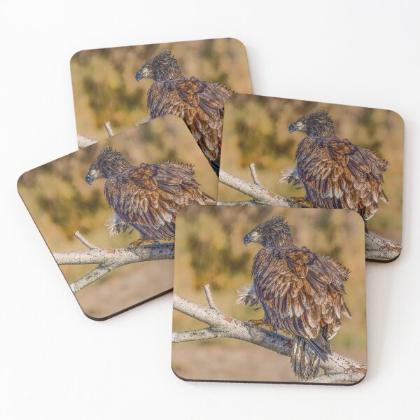 Item preview, Experiencia en criar plumas designed and sold by WesleyBarr.