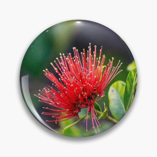Item preview, 'Aiea Lehua designed and sold by Keola Makaiau.