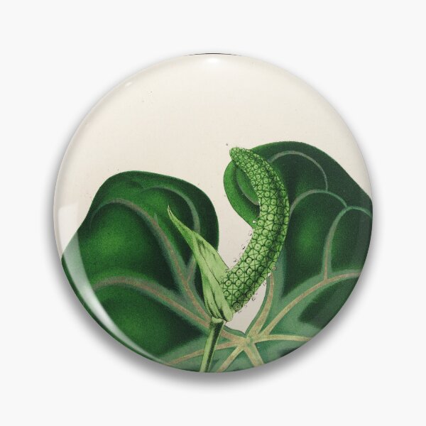 Item preview, Anthurium leuconeurum - Botanical Illustration designed and sold by chimakingthings.