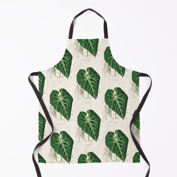 Item preview, Anthurium leuconeurum - Botanical Illustration designed and sold by chimakingthings.