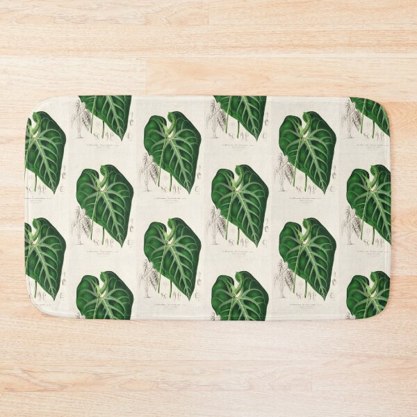 Item preview, Anthurium leuconeurum - Botanical Illustration designed and sold by chimakingthings.