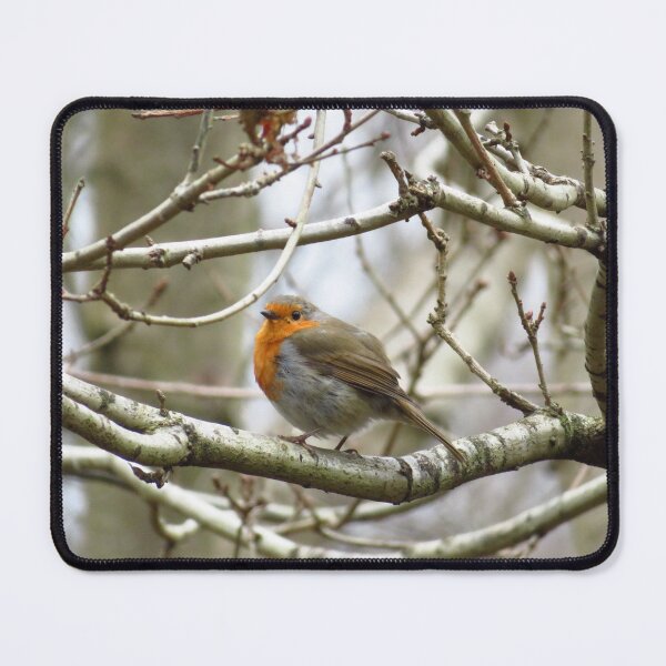 Item preview, Robin - Sitting In A Tree designed and sold by wiggyofipswich.