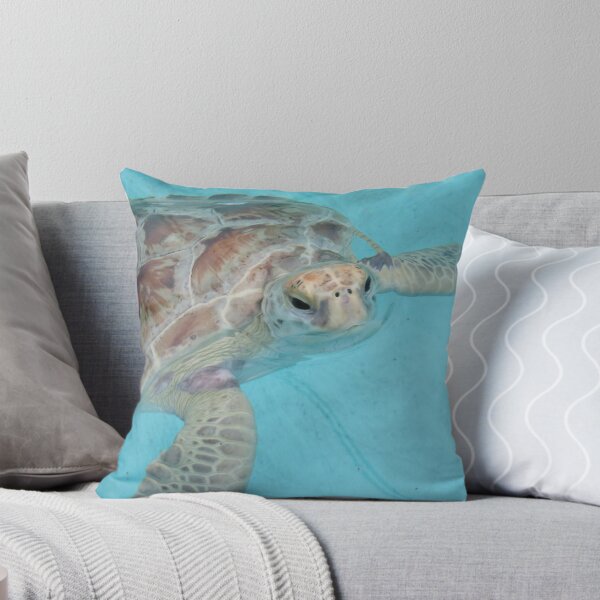 Artikelvorschau, Schmackhafte Schildkröte entworfen und verkauft von StephVG.