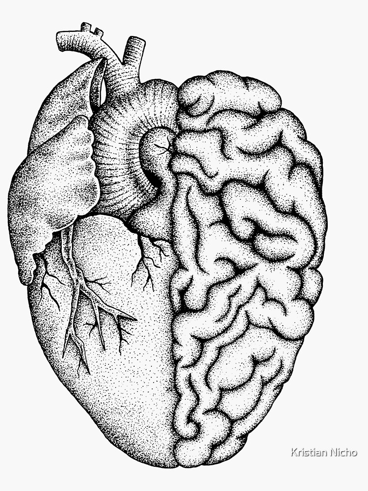 Heart and Brain by Kristiannicho