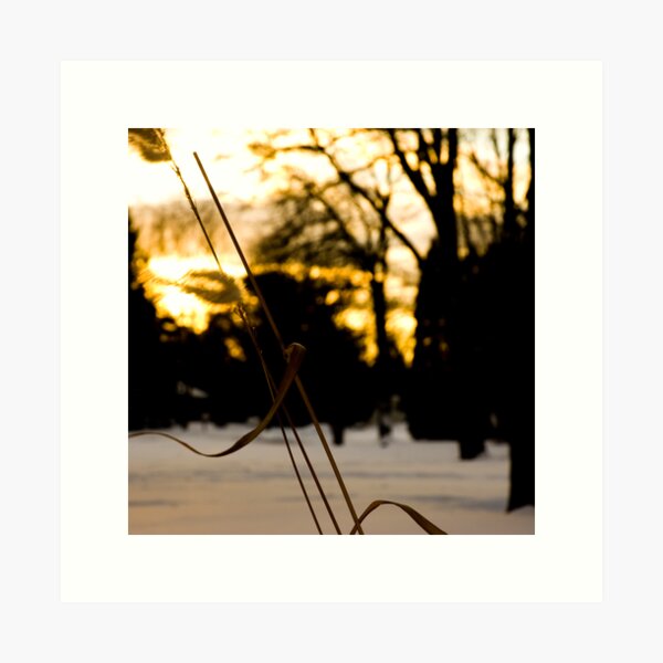Sunset Art Print